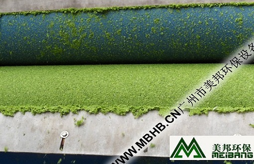 西蘭花脫水圖例--帶式壓濾機農(nóng)植物類